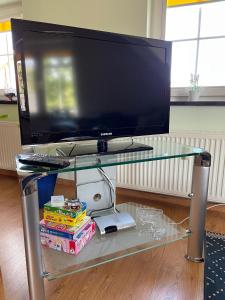 TV a/nebo společenská místnost v ubytování Ferienwohnungen am Cospudener See