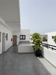 an empty hallway with a potted plant in a building at Zoi Ayia Napa in Ayia Napa