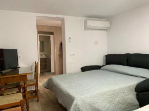 una camera con letto, scrivania e TV di CASA VACACIONAL CONIL a Conil de la Frontera