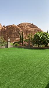 un champ d'herbe verte avec une montagne en arrière-plan dans l'établissement الجوهرة Diamond plus, à Al-Ula