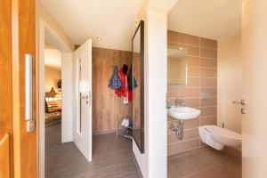 a bathroom with a toilet and a sink at Ferienhaus Asgard in Hasselfelde