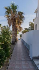 a sidewalk with a palm tree next to a building at Sfiga villas in Perissa