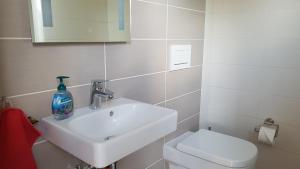 ein weißes Bad mit einem Waschbecken und einem WC in der Unterkunft Premiumferienhaus Ankaa in Hasselfelde