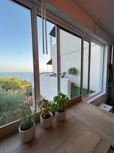 Příroda nedaleko apartmánu + 23 fotografií