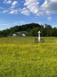 Smerekowiec的住宿－Zagroda wypoczynkowa- Domki nad rzeką，田野中间的十字架