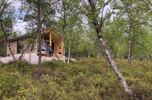 een blokhut in het bos met bomen bij Chalet Luokta in Inari