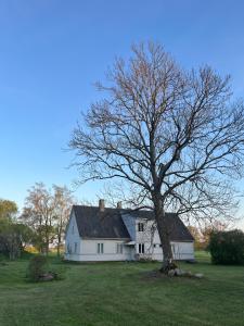 een groot wit huis met een boom in de tuin bij Katrina Summer House in Jūrmalciems