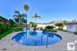 a swimming pool in a yard with palm trees at Apartamento Realet 1F - Grupo Turis in Calpe