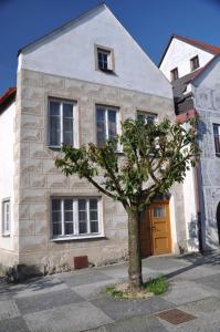 une maison en pierre avec un arbre en face de celle-ci dans l'établissement Slavonice - Čapí dům, à Slavonice
