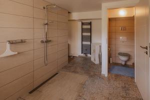 een badkamer met een douche en een toilet bij Tinyhaus & Souterrain Apartment in Ortenberg in Ortenberg