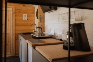 een keuken met een wastafel en een aanrecht bij Tinyhaus & Souterrain Apartment in Ortenberg in Ortenberg