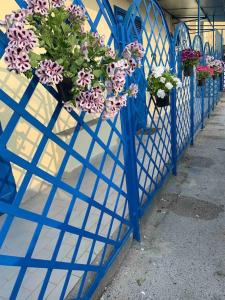 Una valla azul con flores en macetas. en Casa Stella del Vesuvio, en Portici