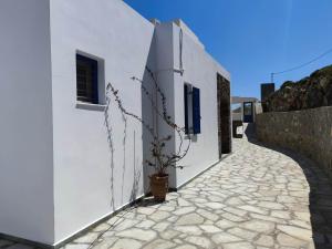 a white building with a potted plant on a sidewalk at Lighthouse View Syros in Azolimnos