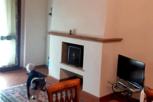 un perro parado en una sala de estar con chimenea en Chianti For Two, en Montagnana Val di Pesa