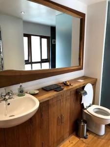 a bathroom with a sink and a toilet and a mirror at Namastay at Longacre in Woodland