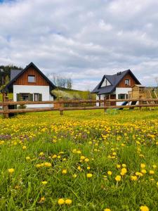 a field of flowers in front of a house at Zagroda wypoczynkowa- Domki nad rzeką in Smerekowiec