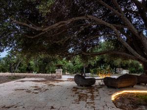 A garden outside MMiriusa