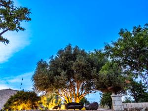 A garden outside MMiriusa