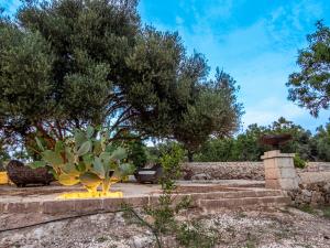 A garden outside MMiriusa