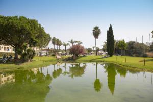 a body of water with palm trees and a park at The Navigator - Palm Oasis Alvor - All Inclusive in Alvor