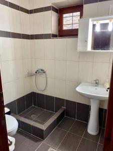 bagno con lavandino e servizi igienici di Katerina's Guest House a Promírion