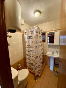 bagno con servizi igienici e lavandino di Katerina's Guest House a Promírion
