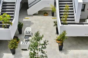 an overhead view of an office lobby with plants at Zoi Ayia Napa in Ayia Napa