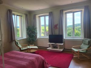 1 dormitorio con 1 cama, TV y ventanas en Die Alte Schule app, en Saint-Vith