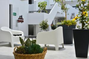 an office with two white chairs and potted plants at Zoi Ayia Napa in Ayia Napa