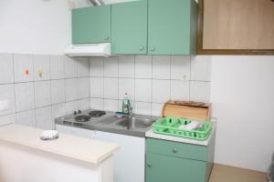 Kuchyň nebo kuchyňský kout v ubytování Apartment and Room Silvana