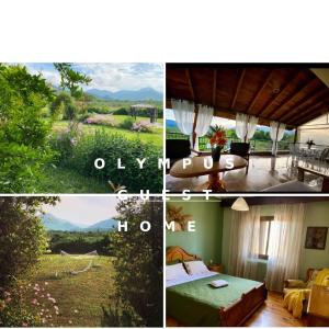 a collage of four pictures of a room with a view at Olympus Guest Home 