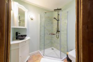 a bathroom with a glass shower with a toilet at La Tour Des Remparts in Rochemaure