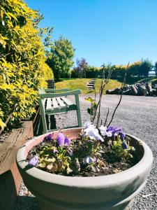 a planter with flowers in it next to a bench at Benbulben View F91YN96 in Sligo