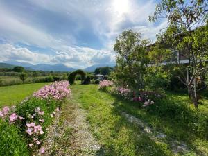 Fotografie z fotogalerie ubytování Olympus Guest Home v destinaci Káto Miléa