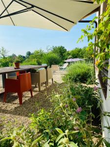 Zahrada ubytování ROSTAGNI1834: VILLA WITH 2 APTS AND POOL IN THE BAROLO REGION