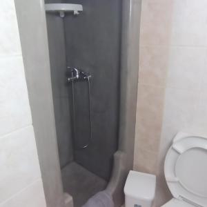 a bathroom with a shower and a toilet at Elzahed apartments bonaccia in Kimolos