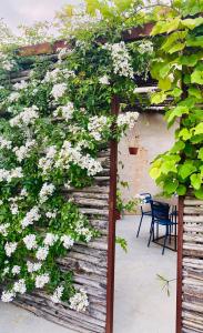 een pergola met witte bloemen erop bij ROSTAGNI1834: VILLA WITH 2 APTS AND POOL IN THE BAROLO REGION in Novello