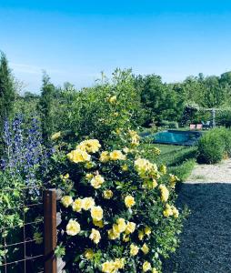 un giardino con fiori gialli accanto a una recinzione di ROSTAGNI1834: VILLA WITH 2 APTS AND POOL IN THE BAROLO REGION a Novello