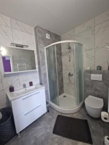 a bathroom with a shower and a toilet and a sink at Apartment Mavero-Free Private Parking in Zagreb +74 photos