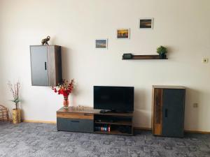 Televízia a/alebo spoločenská miestnosť v ubytovaní Apartmán126