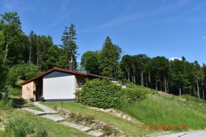 een huis aan de zijkant van een heuvel bij Ferienhaus AlpenBlick in Schöfweg