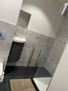 Koupelna v ubytování Appartement de caractère