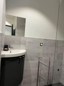 Koupelna v ubytování Appartement de caractère