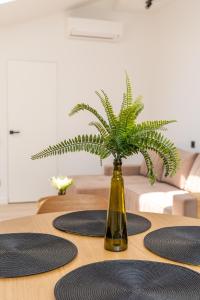 a green plant in a vase on a table at New flat with free underground parking and air conditioning in Rīga