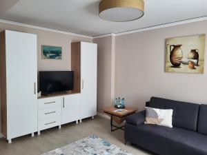 a living room with a couch and a tv at Pandora Central Apartment in Cluj-Napoca