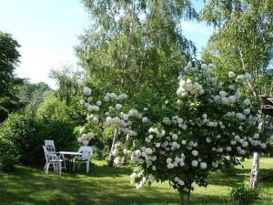 a tree with white flowers and a table and chairs at Rügen-Fewo 1380 in Natzevitz