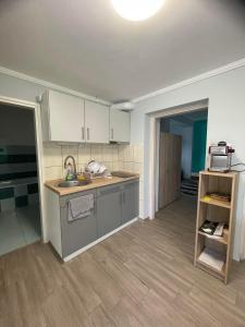 A kitchen or kitchenette at ALFA Szálláshely
