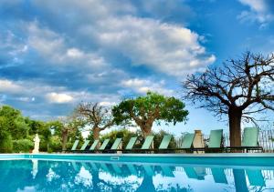 a pool with chairs and trees in the background at Agriturismo Val Di Noto in Noto