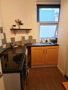 cocina con fregadero y ventana en Lovely One bedroom Aprt in central London en Londres