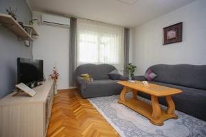 Televisyen dan/atau pusat hiburan di Apartment Hercegovina